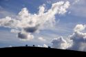 Silhoutted cattle grazing on a hill along highway 101 near King City, California.