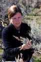 Female inspecting sagebrush.