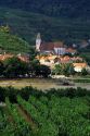 Vineyards and village along the Danube River in Austria.