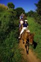 Mule ride to the Kalaupapa peninsula on Molokai, Hawaii.