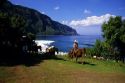 Mule ride to the Kalaupapa peninsula on Molokai, Hawaii.