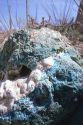 Chrysocolla rock.