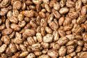 Pinto beans.