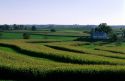 Strip farming in Viroqua, Wisconsin.