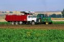 Sugar beet harvest in Canyon County, Idaho.