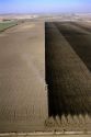 Aerial view of tractor plowing field in Canyon county, Idaho.