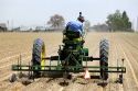 Tractor pulling a cultivator to form corrugates for irrigation.