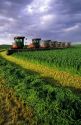 Swathers cutting alfalfa in Grandview, Idaho.