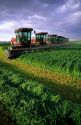 Swathers cutting alfalfa in Grandview, Idaho.