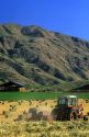 Oat hay harvest in Gardena, Idaho.