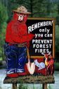 A forest service sign with Smokey Bear warning of fire danger.