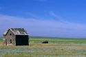 An abandoned shack in North Dakota.