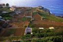 Terraced farms at Banyalbufar, Majorca, Spain.