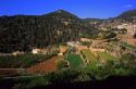 Terraced farms at Banyalbufar, Majorca, Spain.