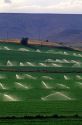 Sprinkler irrigation on an alfalfa field near Glenns Ferry, Idaho.