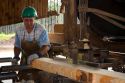 Sawyer cutting logs at a lumber mill in Argentina.
