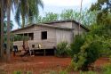 Housing on tree plantation in rural in Argentina.