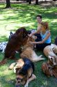 Dog walkers at the park in the Palermo area of Buenos Aires, Argentina.