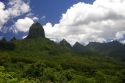 Tropical vegetation on the island of Moorea.