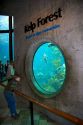 Kelp forest display at the Monterey Bay Aquarium in Monterey, California.