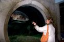 Visitor looking at fish in the Monterey Bay Aquarium at Monterey, California.