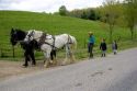 Amish father and daughters with a team of horses near Berlin, Ohio.