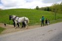 Amish father and daughters with a team of horses near Berlin, Ohio.