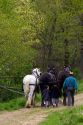 Amish father and daughters with a team of horses near Berlin, Ohio.