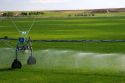 Sprinkler irrigation near Burley, Idaho.
