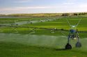 Sprinkler irrigation near Burley, Idaho.