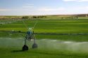 Sprinkler irrigation near Burley, Idaho.