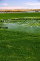 Sprinkler irrigation near Burley, Idaho.