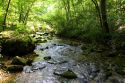 Stream flowing out of Blanchard Cavern in the Ouachita National Forest of Arkansas.