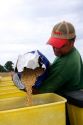 A farmer loading soy bean seeds into a planter in the east central delta region of Arkansas.