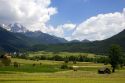 A tractor harvesting a hay field on a farm at Imst, Austria.
