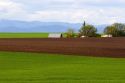 Farm on the Camas Prairie of Idaho near Grangeville.