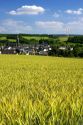 Electricity wind generators near a village in northwest Germany with a barley field in the foreground.