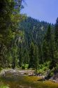 South Fork of the Salmon River near Yellow Pine, Idaho.