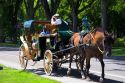 Horse and carriage at Quebec City, Quebec, Canada.