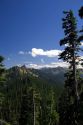 View of Olympic National Park from Hurricane Ridge.  Elk Mountain in distance.