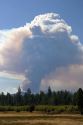 Plume of smoke from a wildfire near Sisters, Oregon.