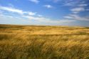 Prairrie grass near Pine Bluff, Nebraska.