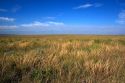 Grassland prairie east of Sidney, Nebraska.