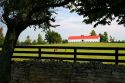 Horses graze on a farm near Lexington, Kentucky behind stone and wood fences.