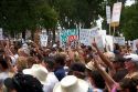 A crowd of people holding signs at an Anti-war protest in Salt Lake City, Utah. 8/22/2005