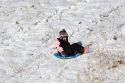 A young girl sledding down a snow covered hill in Idaho. MR