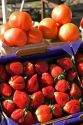 Tomatoes and strawberries being sold at a market near Tavares, Florida.