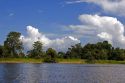 Storm clouds gather over the Arasa River in the Amazon jungle near Manaus, Brazil.