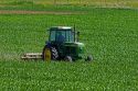 Cultivating corn near Sunnyside, Washington.