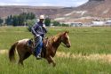 A rancher on horseback during a cattle roundup near Grandview,  Idaho.